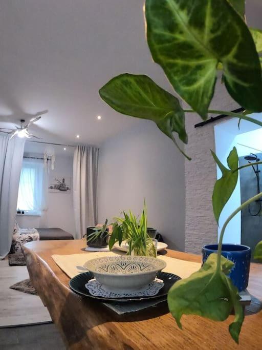Urocze Studio W Sercu Cieplic Warmbrunn Eksteriør bilde