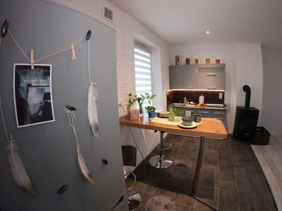 Urocze Studio W Sercu Cieplic Warmbrunn Eksteriør bilde