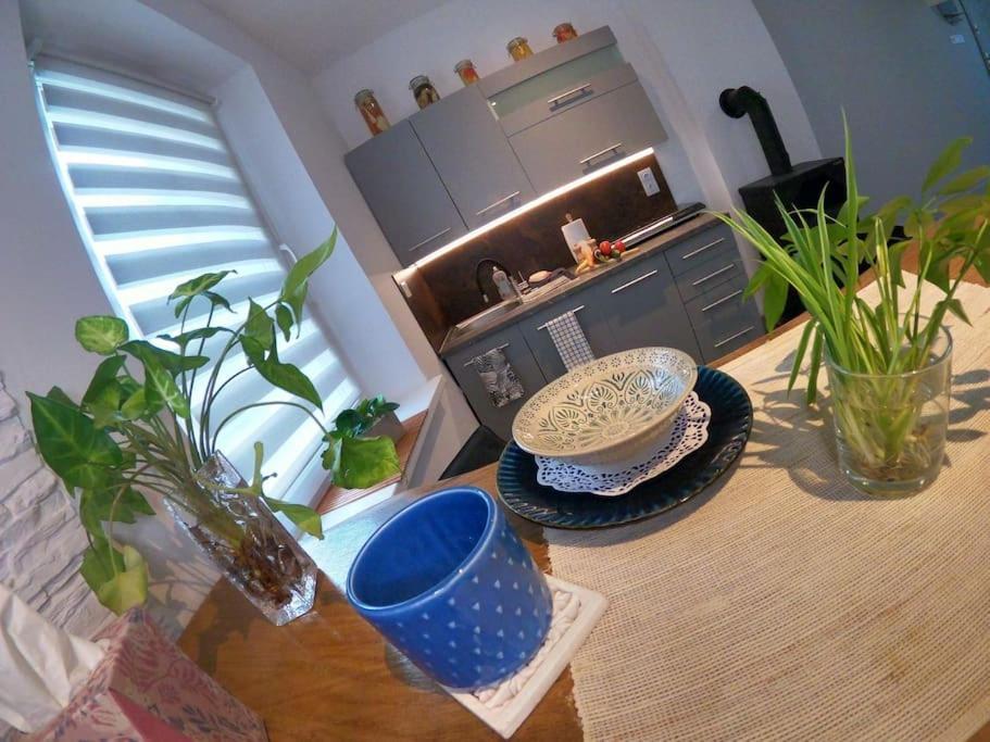 Urocze Studio W Sercu Cieplic Warmbrunn Eksteriør bilde